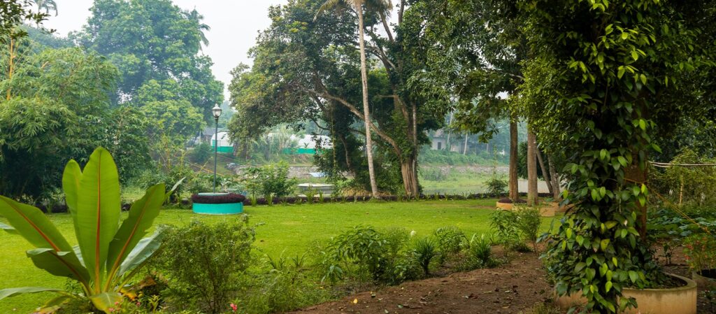 Beyond Relaxation: Experience the Best Panchakarma Treatment in Kerala for True Ayurvedic Stress Relief