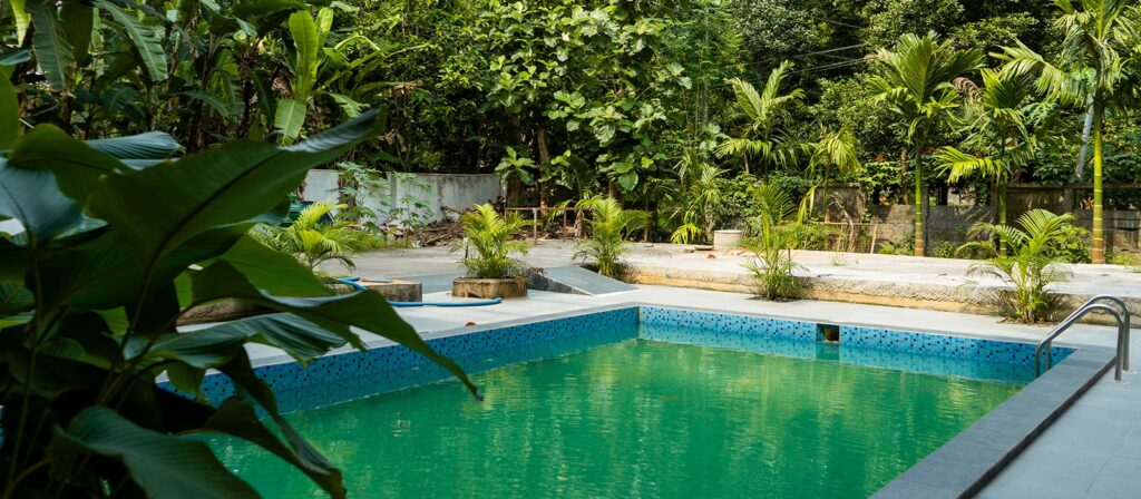 Rejuvenate Naturally with Authentic Ayurvedic Treatment Packages in Kerala