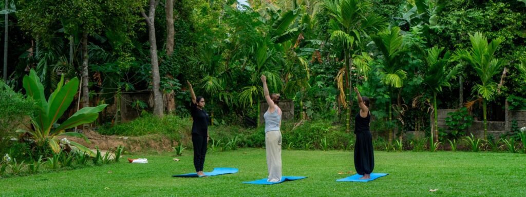 Discover Holistic Healing at the Best Ayurvedic Retreat in Kerala